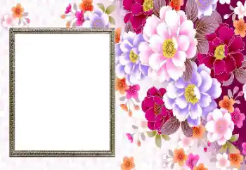 زمرے سے فوٹو ایفیکٹ خواتین کے فوٹو فریم № 206192 زمرے سے فوٹو ایفیکٹ خواتین کے فوٹو فریم № 206192